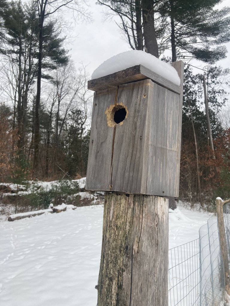 Birdhouse