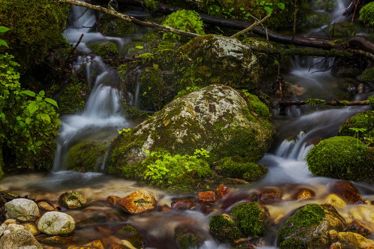 Little Stream in Sunikov Vodni Gaj, Slovenia