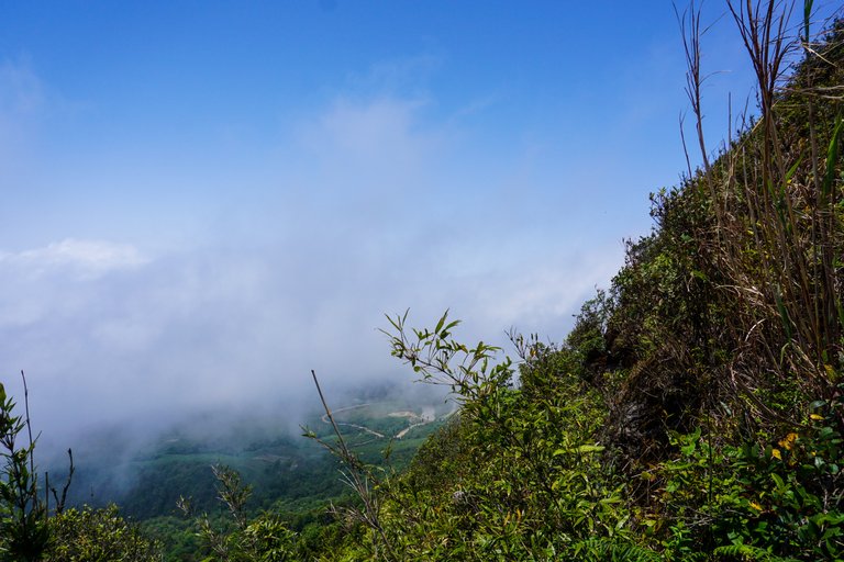 dsc09362_hys_min.jpg