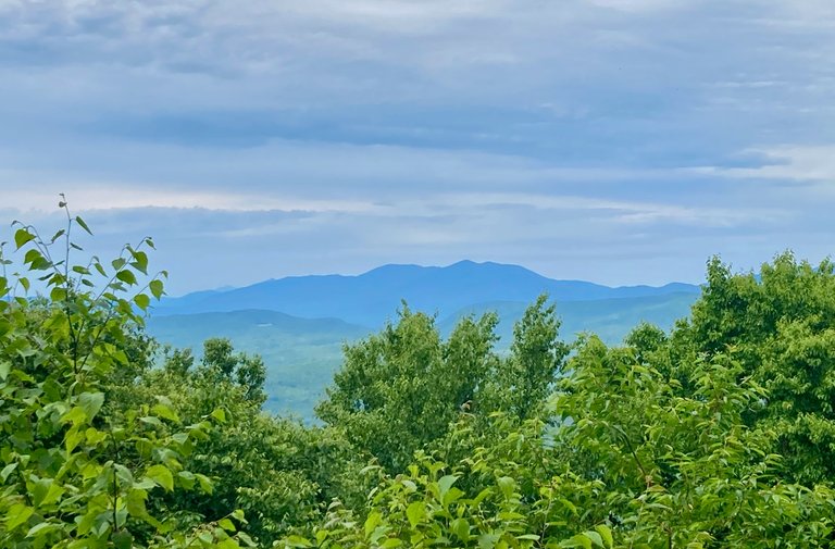 Vistas