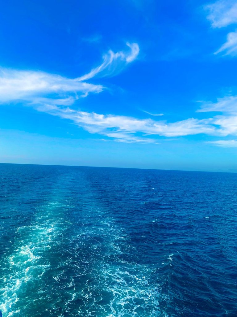 Some dreams wait patiently,  I finally listened......
