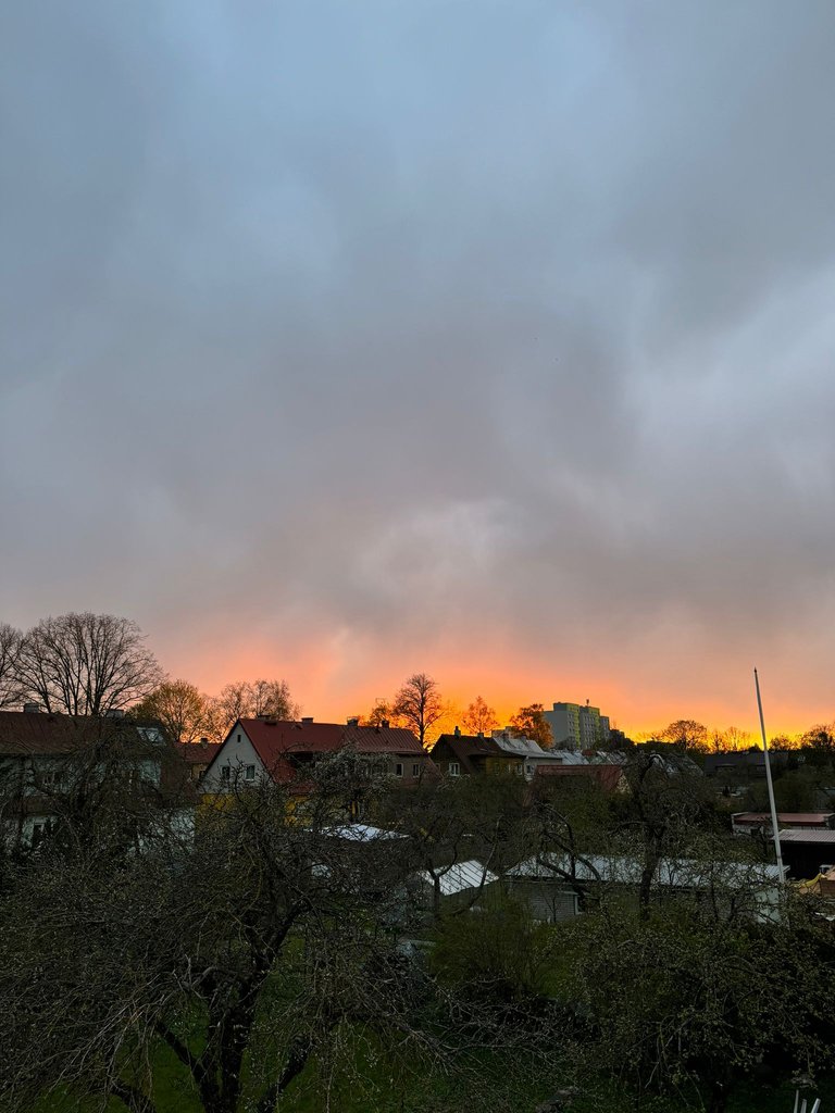 Golden Colors of the Horizon