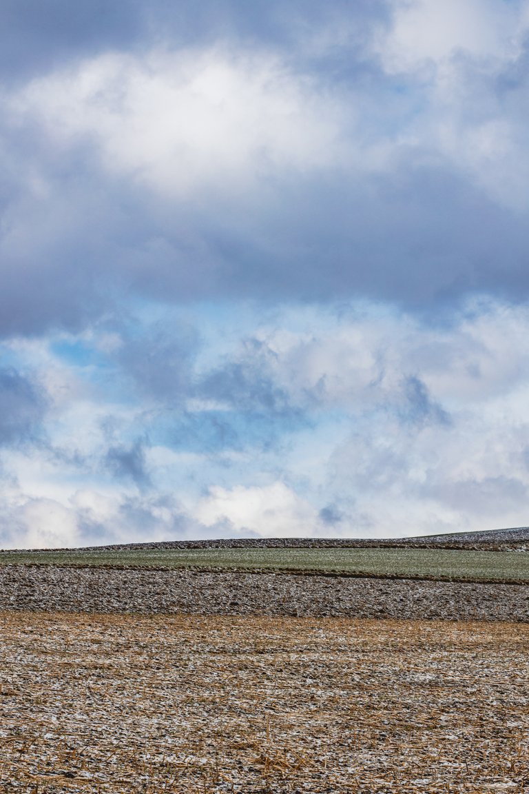 Walking through Farm Fields in Lower Austria - Johann Piber