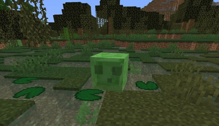 minecraft_slime_in_swamp_biome_900x522_1.jpg