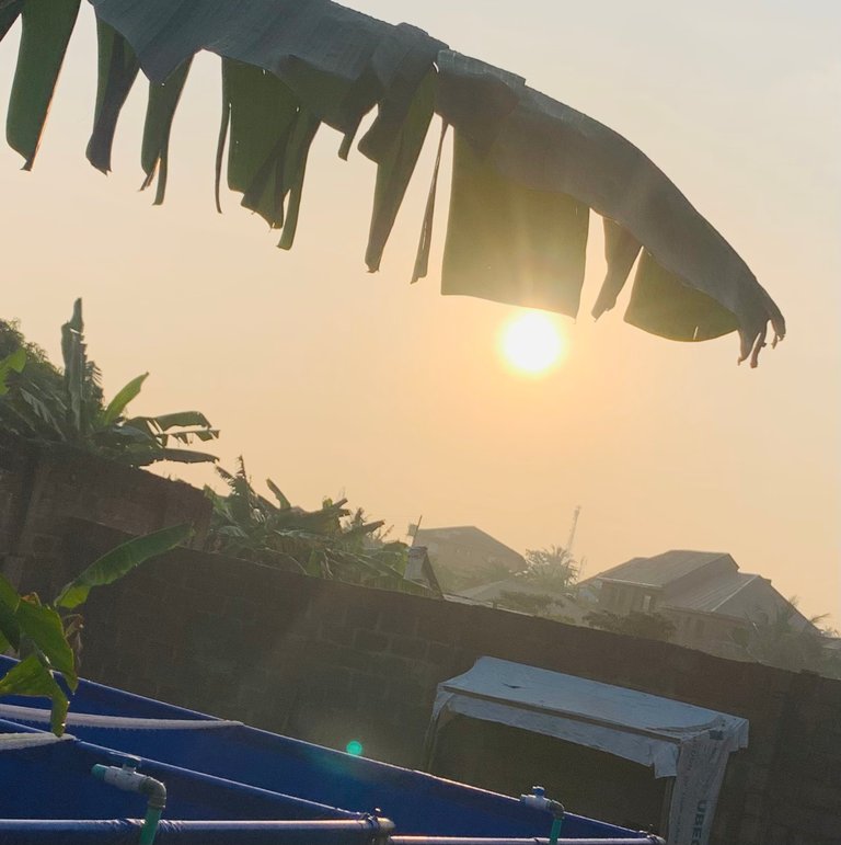 Crazy But Motivated.