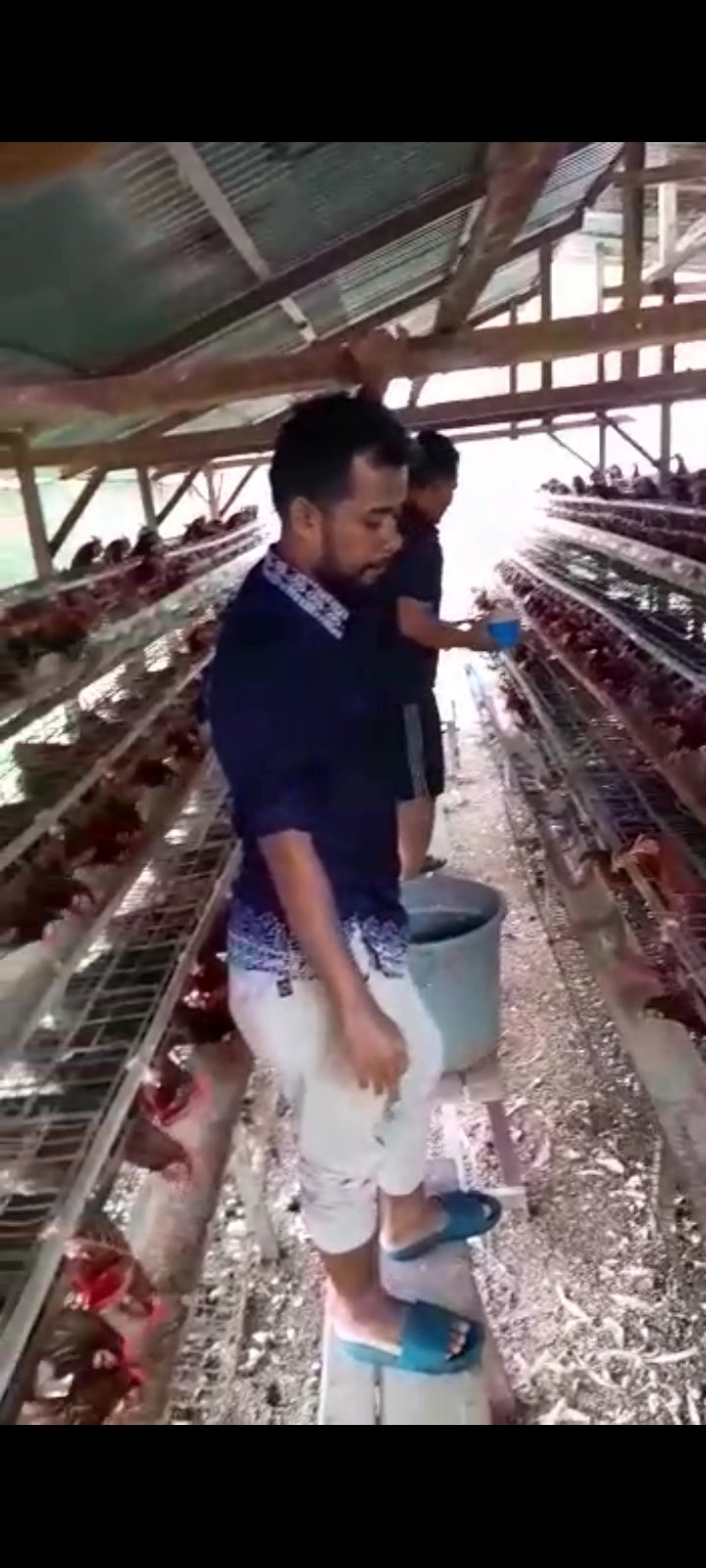 foto_umpung_manok.jpg