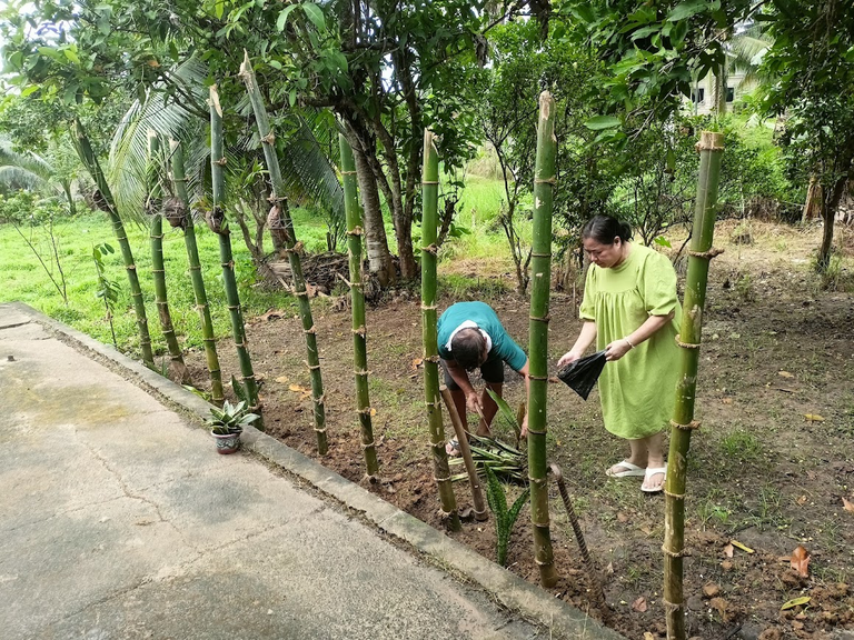 Our First Garden Activity in 2026..