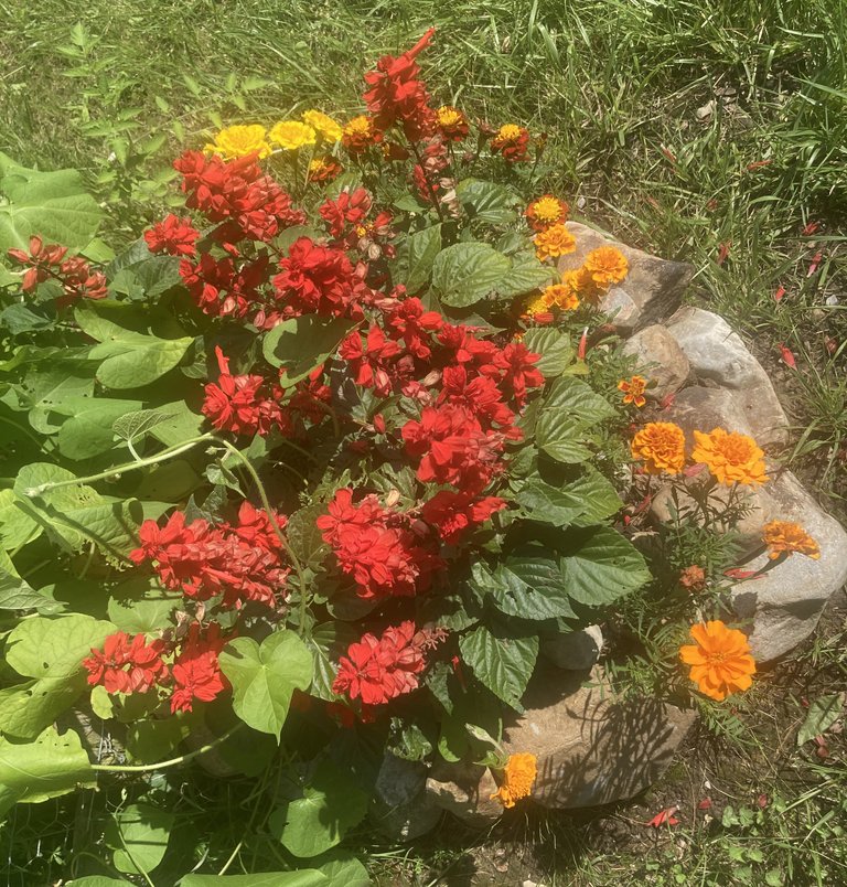 Small flower bed