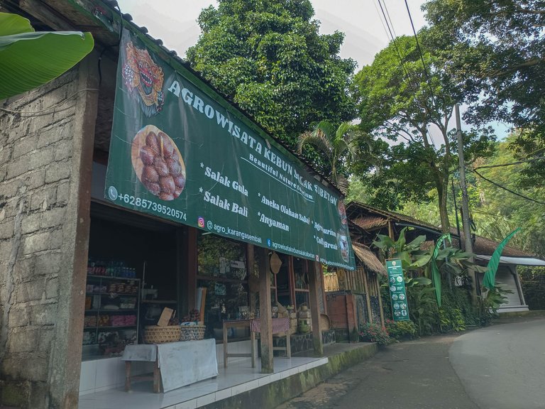 Visiting A Snake-skinned fruit in Sibetan Village