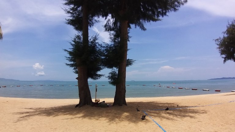 kohsamui99_1213u.jpg