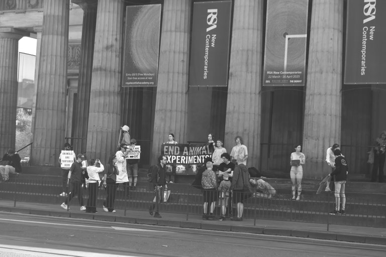 Protesters on the steps of the Royal Scottish Academy