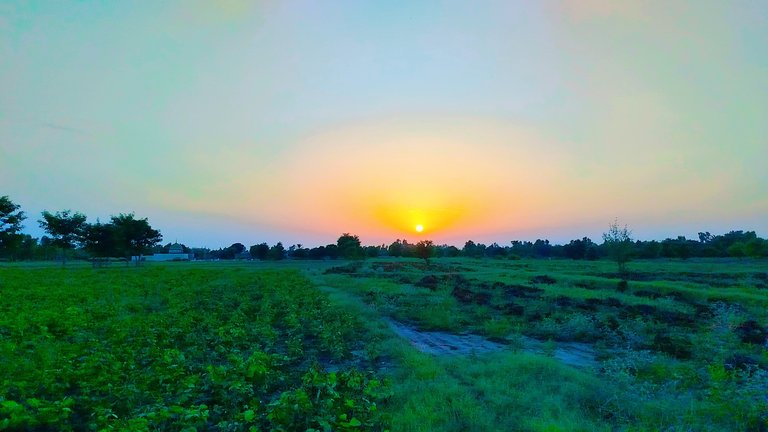 Looking so beautiful sunset in my village 
