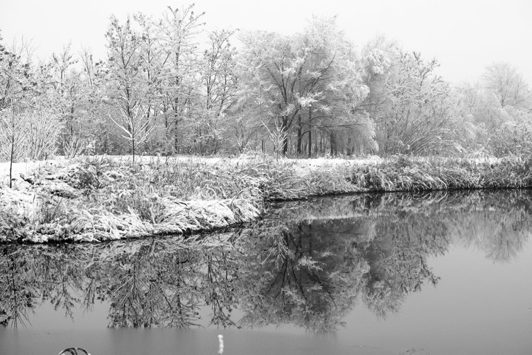 bw_snow_ice_img_0736.jpg