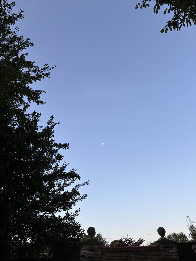 Clear Beautiful Morning
