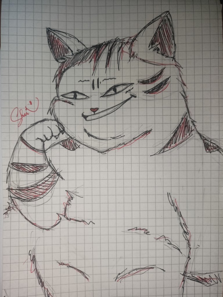 Late Night Sketch: Chubby Cat 😺