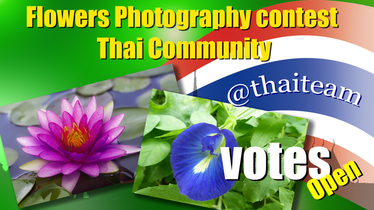 flower_photography_votes_3.png