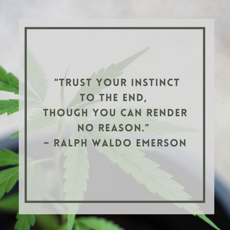 _trust_your_instinct_to_the_end_though_you_can_render_no_reason._ralph_waldo_emerson.png