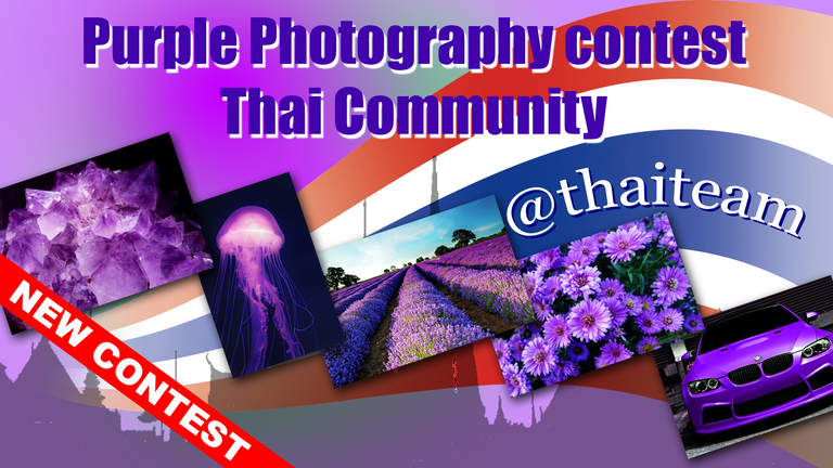 purple_photography_contest_2.png