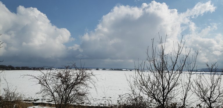 20220312_100911.jpg