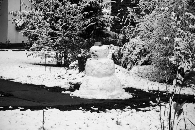 bw_snowman_img_0873.jpg