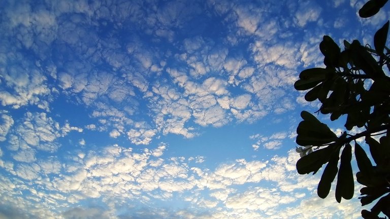 clouds_sunsets_and_beaches_kohsamui99_065.jpg