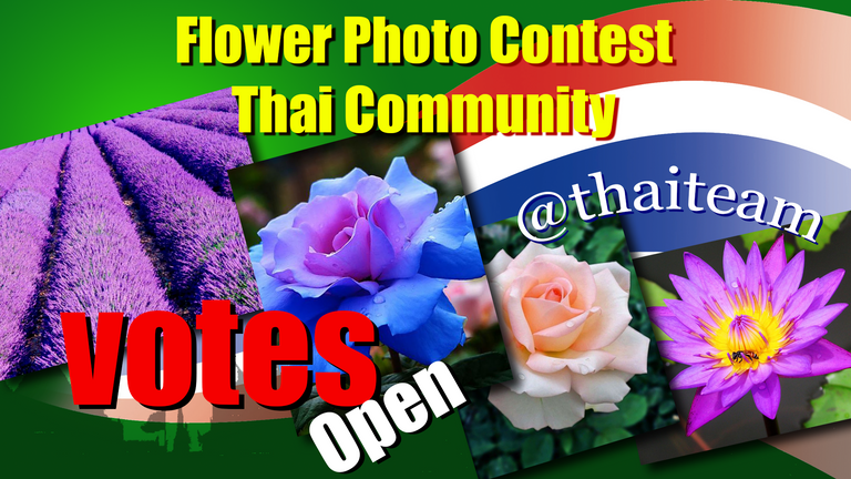 flower_photography_contest_n3_vote_open.png