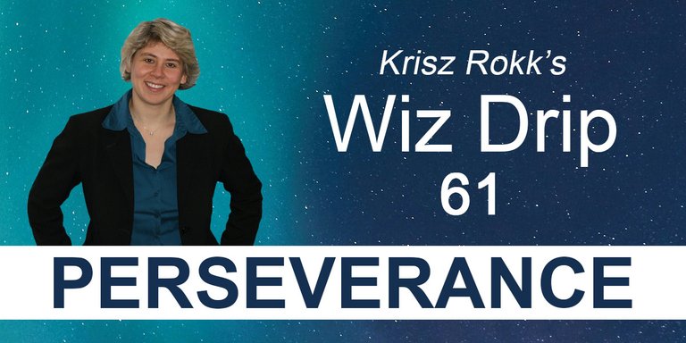 Krisz Rokk's Wiz Drip 61 - Perseverance