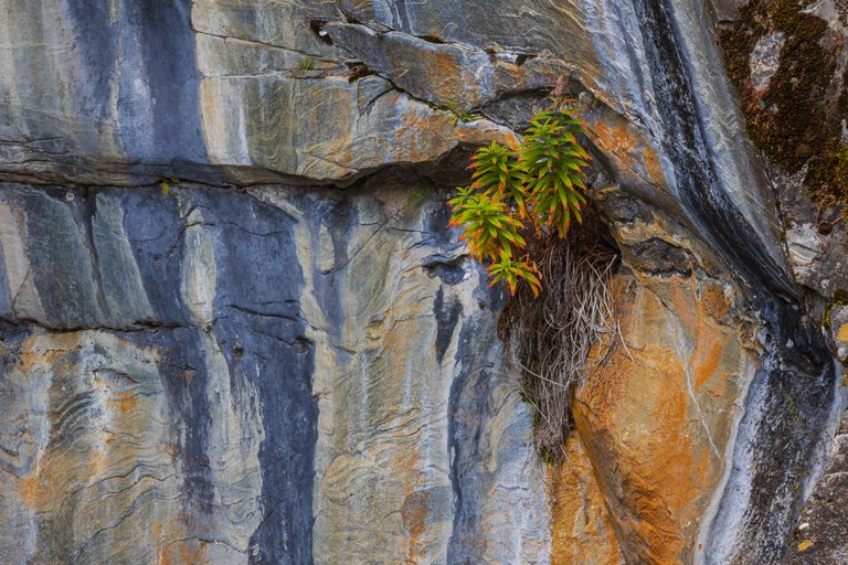 Intimate Landscape Photography - Waterfalls and Streams