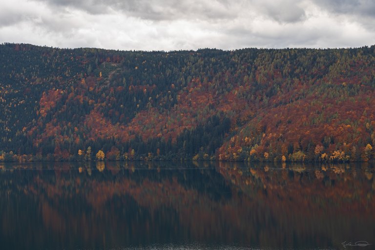 Colorful Forest at the Lake Millstatt
