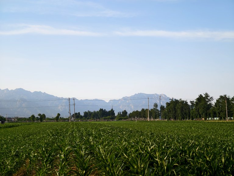 Vast Agricultural Landscape In The Huairou District