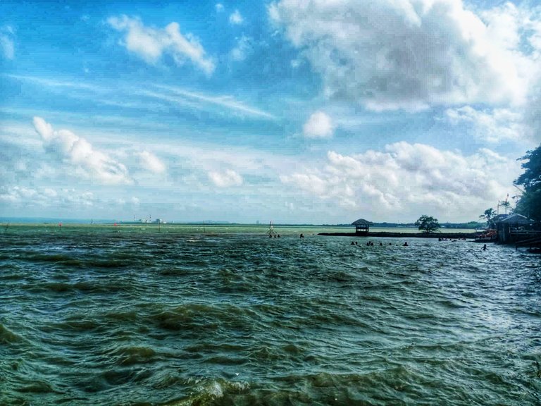 despite the dark water, some people are still swimming