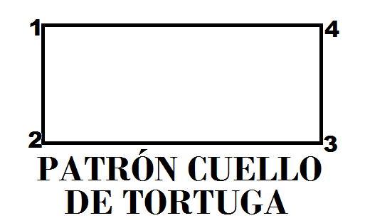 cuello_tortuga.png