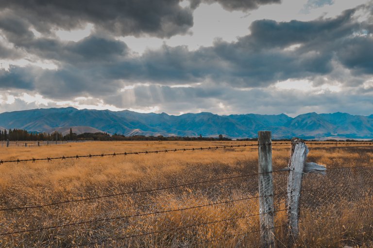 relaxing_and_colorful_landscape_with_a_fence_at_the_front_2.jpg