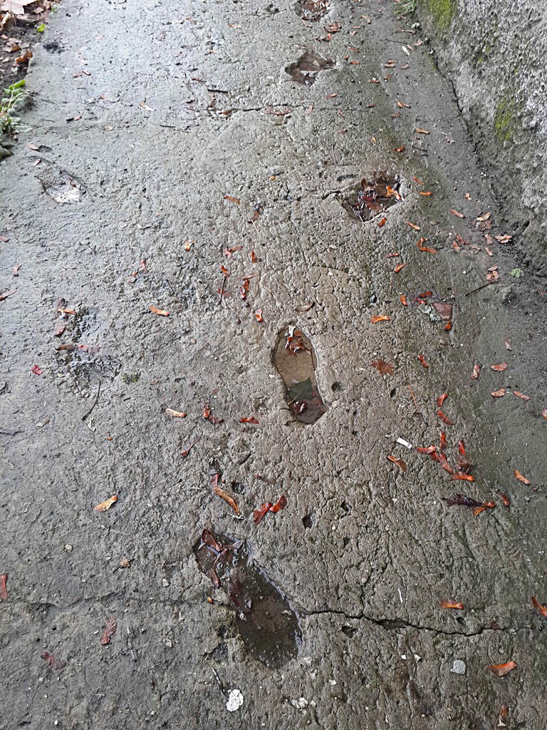 Lucky day.