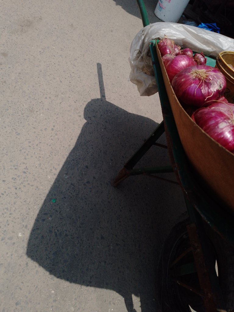 Onions on a Wheelbarrow Shadow: SMASh Contest—Round 389.