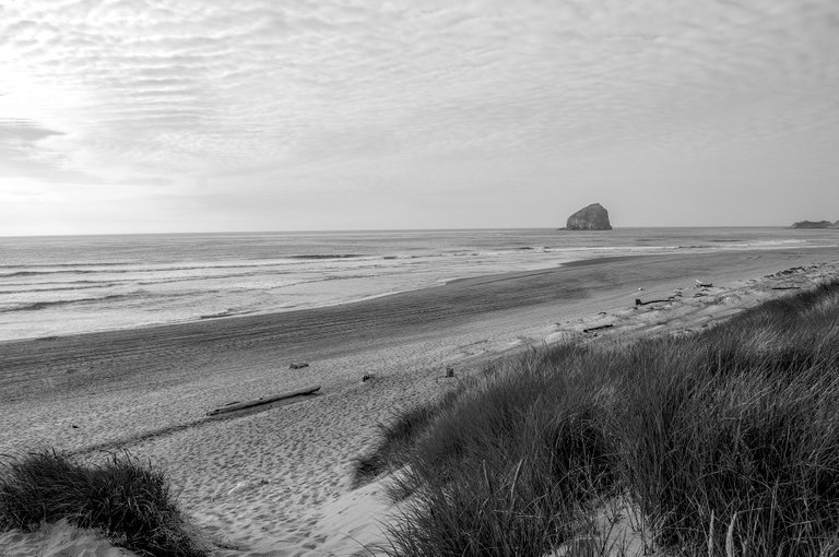 oregon_coastline_3.jpg