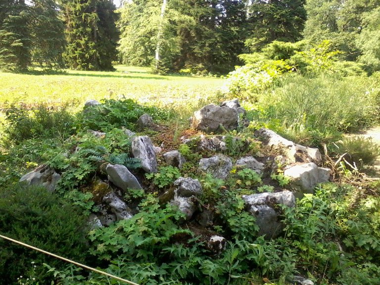 _0247.jpg