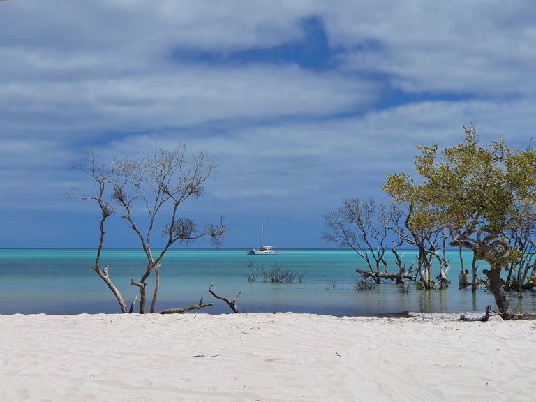 fraser_island_oct_2020_295.jpg