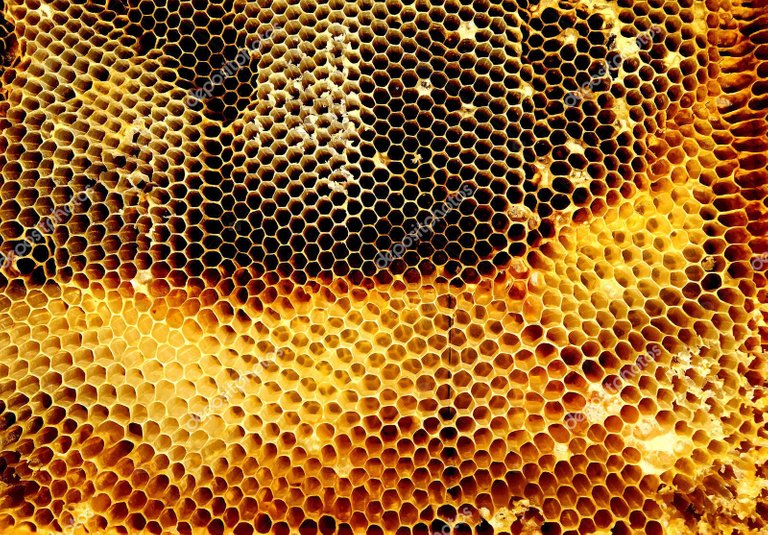 depositphotos_200213180_stock_photo_background_hexagon_texture_wax_honeycomb.jpg
