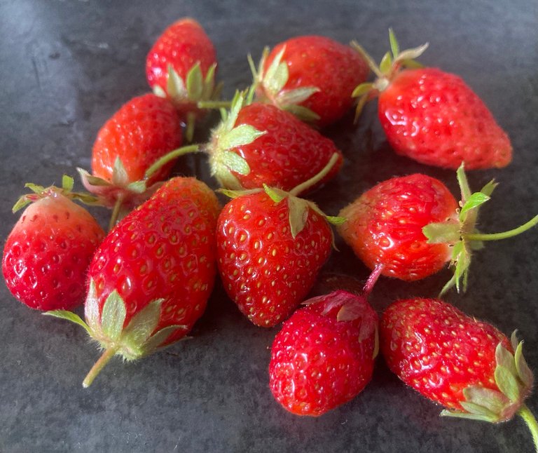 first handful