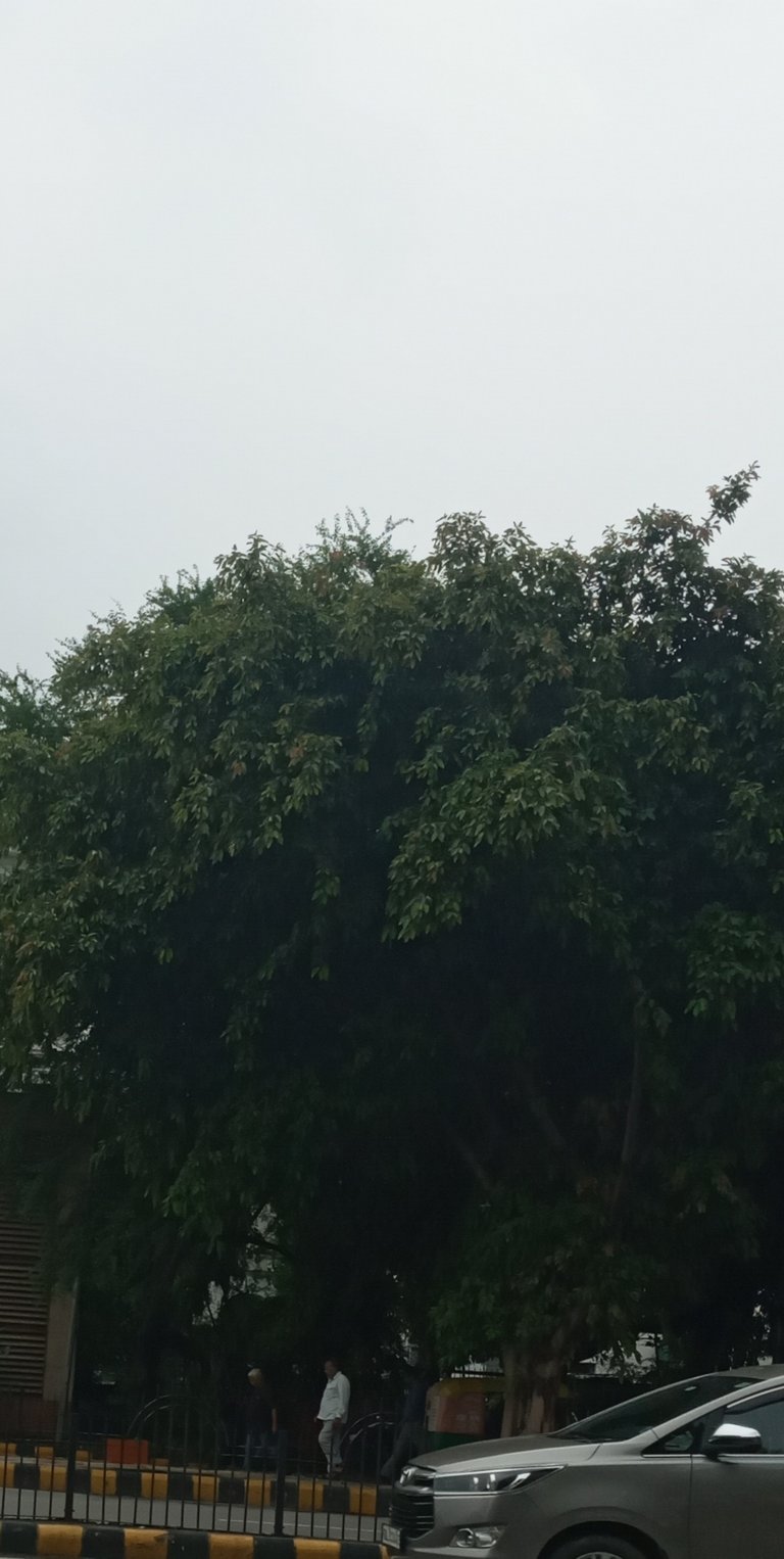 20240718_144434.jpg