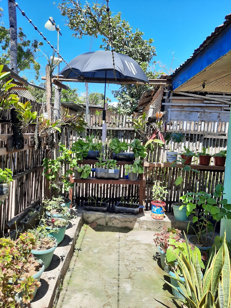 Ladies of Hive Community Contest #244: A House With a Garden