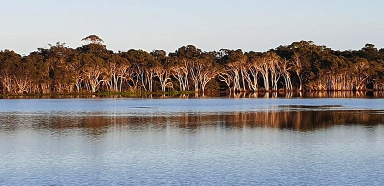reflection_19u.jpg