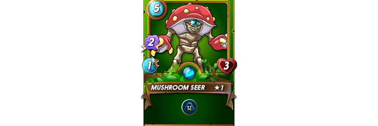 Mushroom Seer