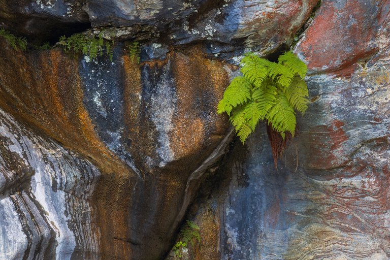 Intimate Landscape Photography - Waterfalls and Streams