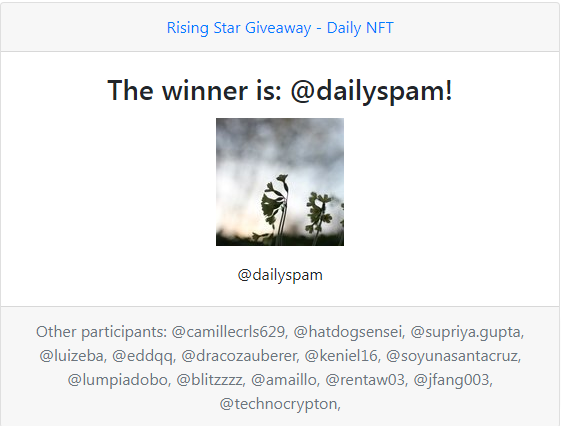 winner_dailyspam.png