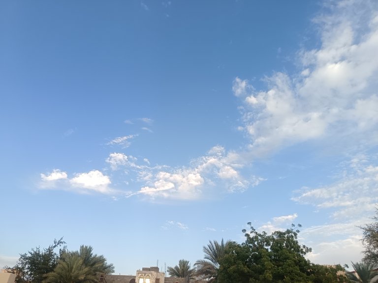From a Park