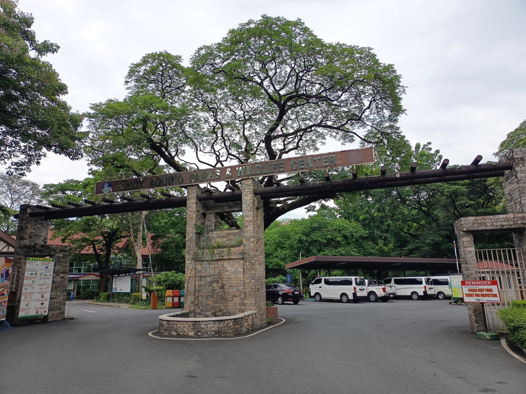 A Peaceful Escape in the City: A Visit to Ninoy Aquino Parks and Wildlife Center
