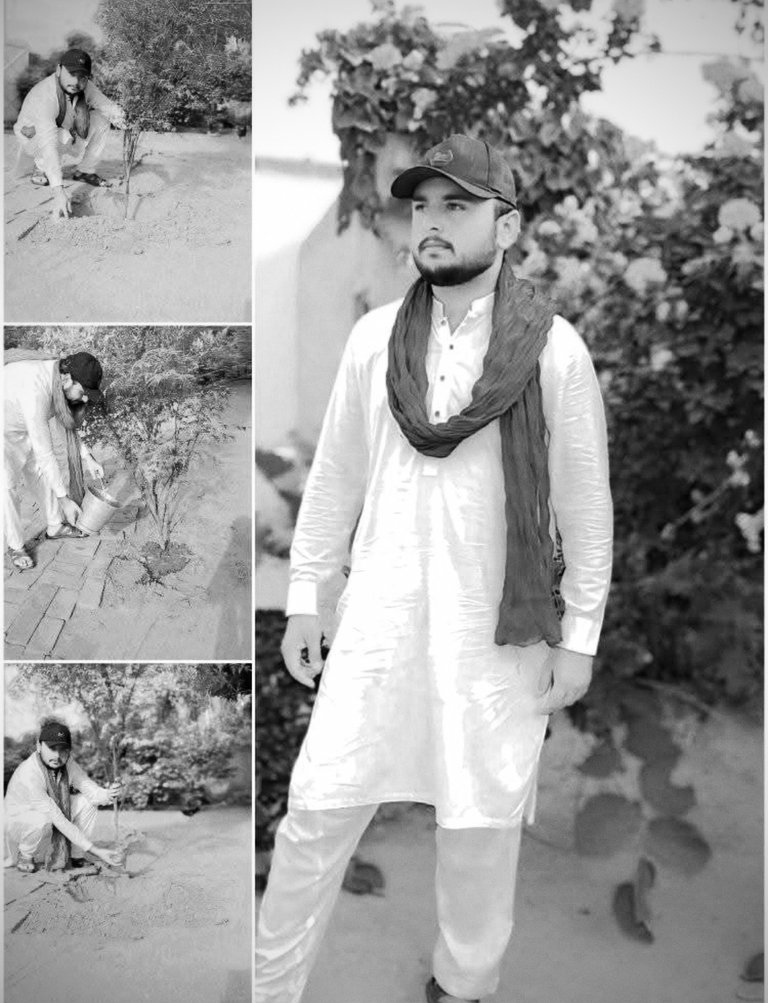Tree planting photography