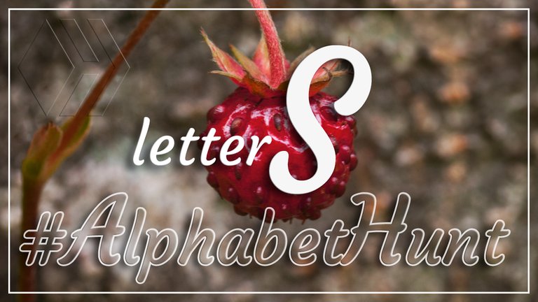 Hive AlphabetHunt - Letter S